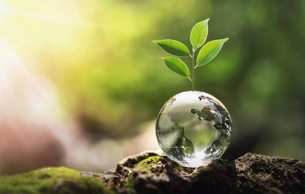 640-glass-globe-ball-with-tree-growing-and-green-nature-blur-background-eco-concept 640-glass-globe-ball-with-tree-growing-and-green-nature-blur-background-eco-concept